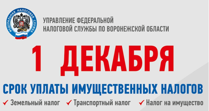 Информируем Вас о необходимости своевременной уплаты имущественных налогов физических лиц в срок до 01.12.2025 года.